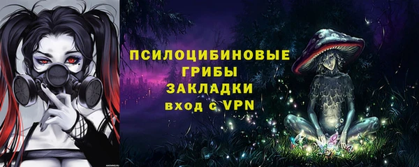 дживик Магас