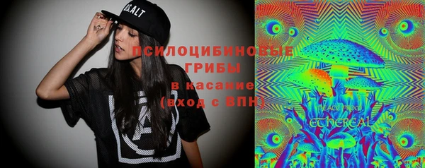 дживик Магас