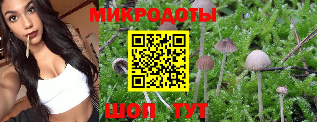 Псилоцибиновые грибы Psilocybe  Псилоцибиновые грибы GOLDEN TEACHER  Балашиха 