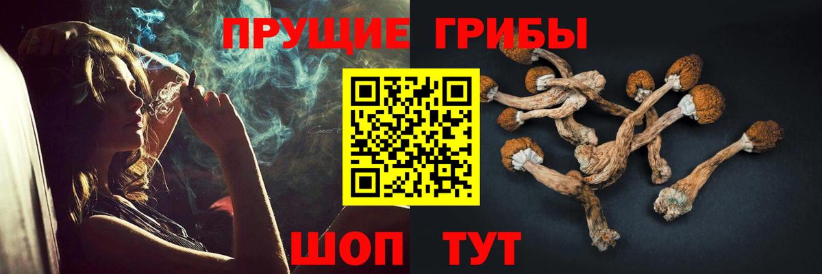 Псилоцибиновые грибы мицелий Балашиха